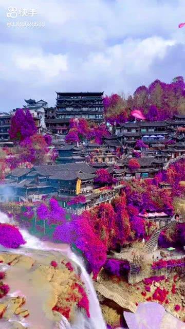“天津120视频急救”上线试运行