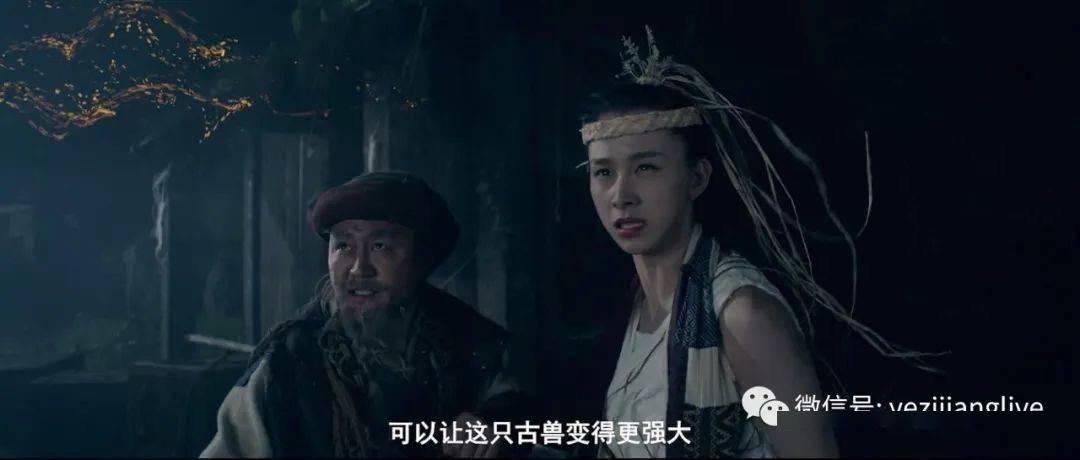 吉娃娃头上的坑代表什么有问必答平台-专注解答你的疑问